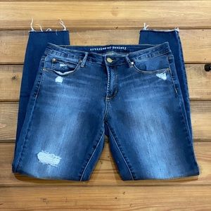 Articles of Society Jeans